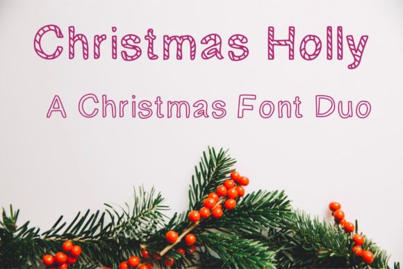 Christmas Holly: A Designer’s Real-World Review